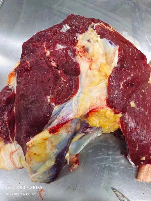 草原散养黄牛肉5斤 商品图3
