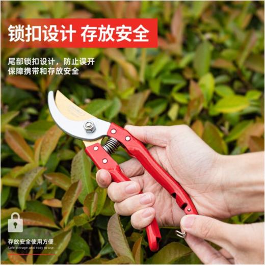 得力DL580231专业果农修枝剪全金属手柄8"65Mn镀钛刀头(红) 商品图3