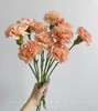 【稀有系列】康乃馨-橙忆 橙色18-20枝/扎 商品缩略图0