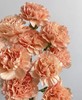 【稀有系列】康乃馨-橙忆 橙色18-20枝/扎 商品缩略图2