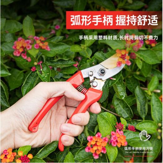 得力专业果农修枝剪全金属手柄8"SK5镀钛刀头(红) 商品图1