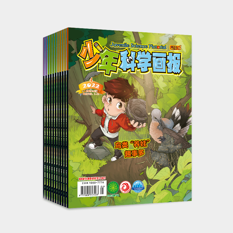 2024年《少年科学画报》全年订阅