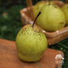 生态赵县雪花梨 | 合作生产 *Ecological snow pear | Coproduction 商品缩略图5