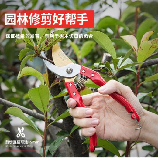 得力DL580231专业果农修枝剪全金属手柄8"65Mn镀钛刀头(红) 商品图5