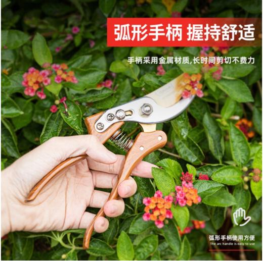 得力DL580235专业果农修枝剪木纹金属手柄8"SK5镀钛刀头(红) 商品图5