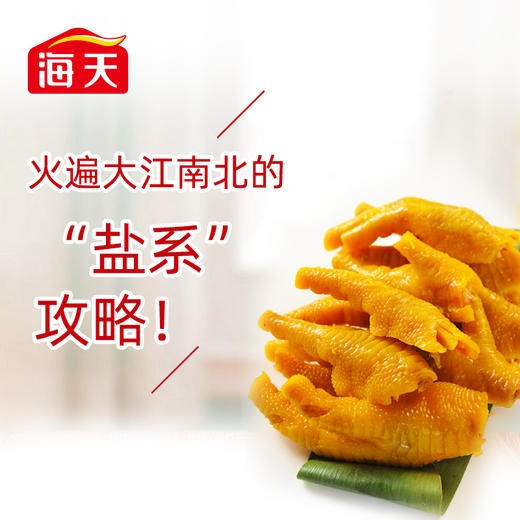 海天 百焗易 盐焗鸡粉 30g/袋 商品图2