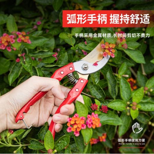 得力DL580231专业果农修枝剪全金属手柄8"65Mn镀钛刀头(红) 商品图2