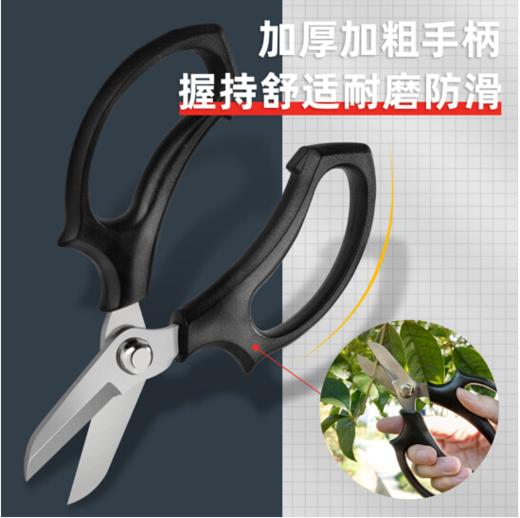 得力DL580100A花枝剪7"不锈钢刀头(黑) 商品图3