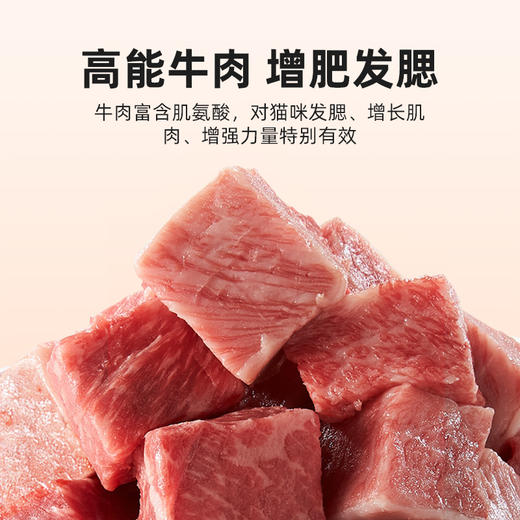 江小傲全阶全价无谷猫粮牛肉配方增肥发腮营养天然鲜肉猫粮500g/袋 商品图2