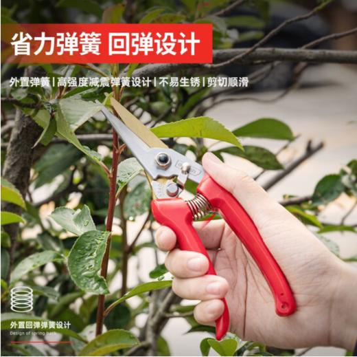 得力DL580122花枝剪8"65Mn镀钛刀头(红) 商品图4