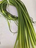 蒜苔（外调） 商品缩略图0
