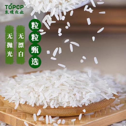 东璞五福丝苗米 新米2.5 kg嚼劲软糯 唇齿留香 粒粒甄选 真空锁鲜包装 商品图1
