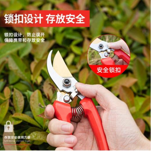得力专业果农修枝剪全金属手柄8"SK5镀钛刀头(红) 商品图4