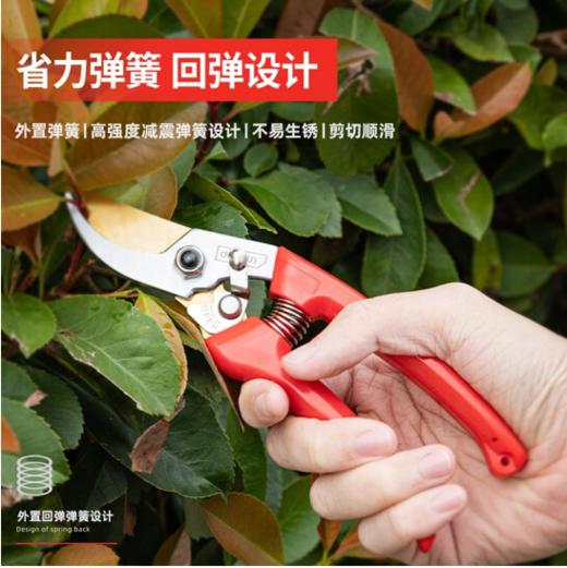 得力专业果农修枝剪全金属手柄8"SK5镀钛刀头(红) 商品图2