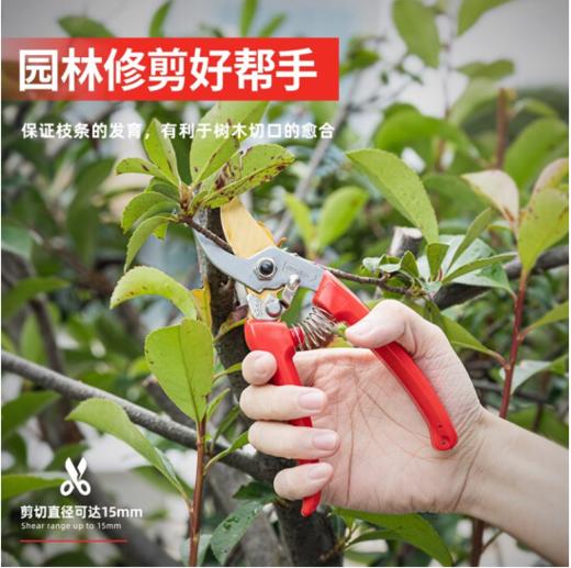 得力专业果农修枝剪全金属手柄8"SK5镀钛刀头(红) 商品图3