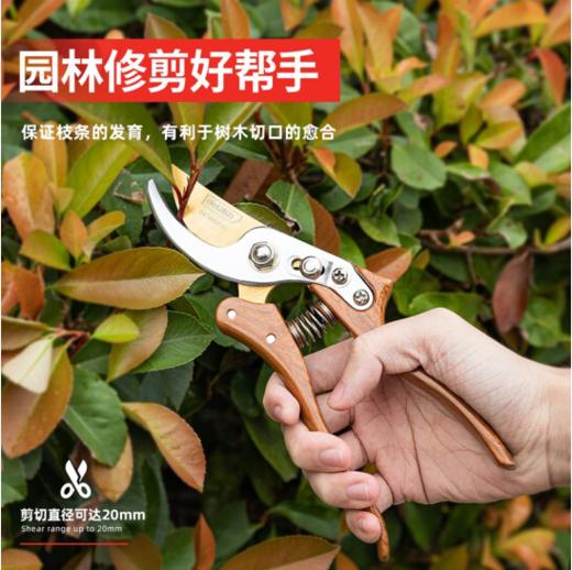 得力DL580235专业果农修枝剪木纹金属手柄8"SK5镀钛刀头(红) 商品图3