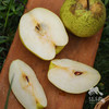 生态赵县雪花梨 | 合作生产 *Ecological snow pear | Coproduction 商品缩略图4