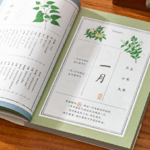 《每天懂一味中草药》 李蕊 著绘  吉林科学技术出版社  了解中草药知识，发扬中医药文化 商品图1