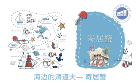 【南京】“海边的清道夫” — 寄居蟹zuo fei