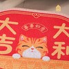 大吉大利·宫猫防尘地垫 商品缩略图4