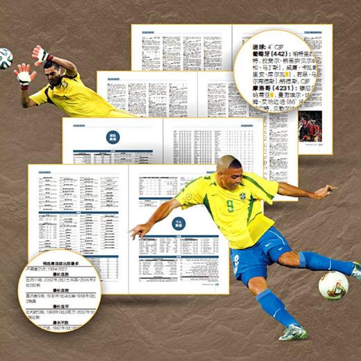 足球圣殿：世界杯图文全史（典藏版） 商品图5