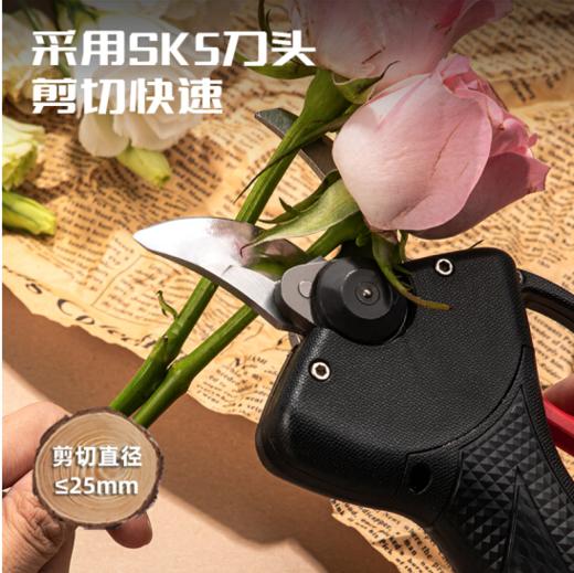 得力DL582020无刷锂电修枝剪20V25mm(红) 商品图5