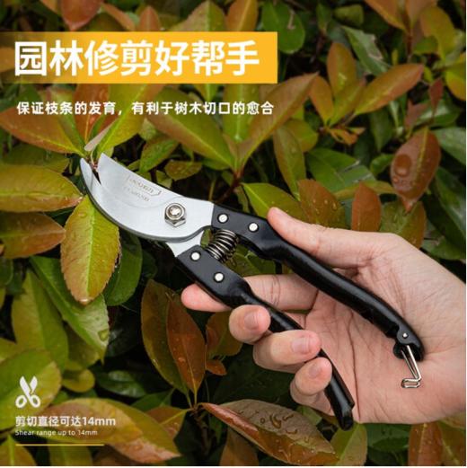 得力DL580222重型修枝剪全金属手柄8"65Mn刀头(黑) 商品图5