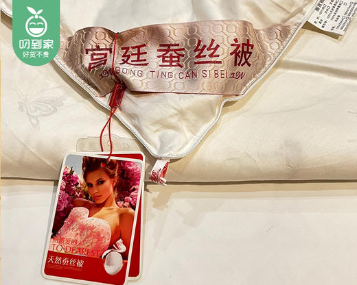 【叼到家定制款】【快递发货】喜达人宫廷蚕丝被/1件（200*230cm，含被套总重约3kg，蚕丝填充重约1.9kg） 商品图2