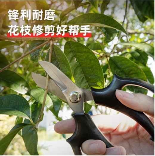 得力DL580100A花枝剪7"不锈钢刀头(黑) 商品图2