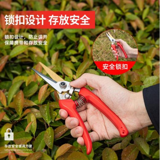 得力DL580122花枝剪8"65Mn镀钛刀头(红) 商品图3