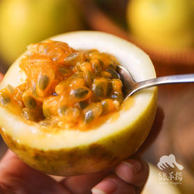 生态百香果（过年也发货） | 合作生产*  Eco-Passion fruit | Coproducted