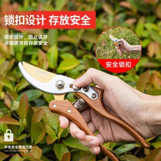 得力DL580235专业果农修枝剪木纹金属手柄8"SK5镀钛刀头(红) 商品图4