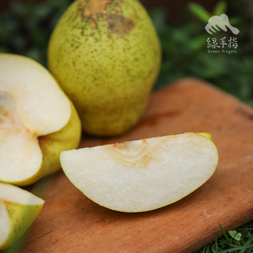 生态赵县雪花梨 | 合作生产 *Ecological snow pear | Coproduction 商品图1