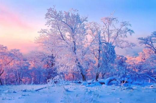 雪乡童话世界、查干湖冬捕、雾凇岛、镜泊湖冰瀑、东北虎雪地捕食7天摄影团 商品图7