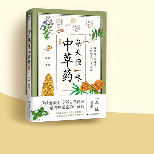 《每天懂一味中草药》 李蕊 著绘  吉林科学技术出版社  了解中草药知识，发扬中医药文化 商品图0