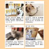 江小傲鸡肉配方猫粮天然全阶段低敏营养增肥发腮500g/袋 商品缩略图4