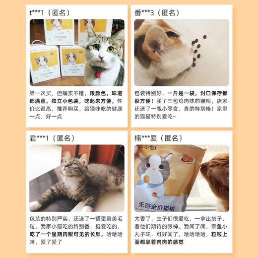江小傲鸡肉配方猫粮天然全阶段低敏营养增肥发腮500g/袋 商品图4