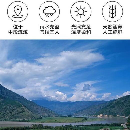 小糊涂仙·38度 500ml/250ml 浓香型  低度国产纯粮食白酒 普仙 聚会 聚餐 自饮送礼 名人力荐 商品图5