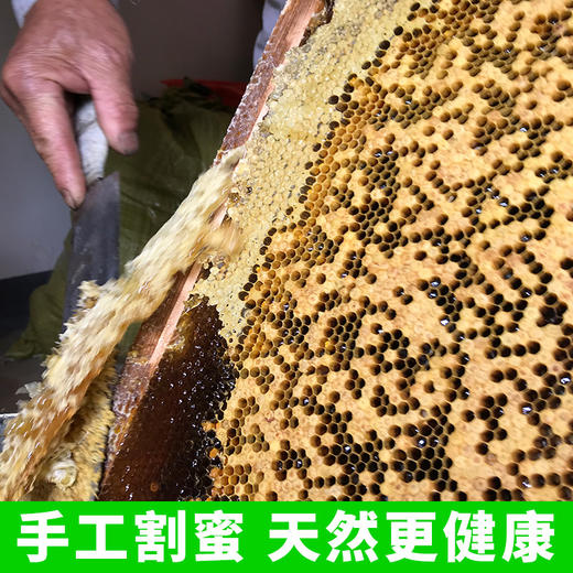 【消费帮扶】安徽泾县【谷岚山|百花蜜】500g/瓶 深山采集 原生态好蜂蜜 商品图4