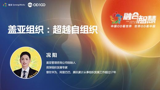 况阳：盖亚组织-超越自组织 商品图0