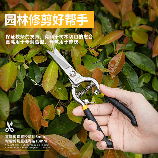得力DL580241园艺剪套装2件套(黑) 商品图1
