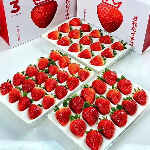 【限时特惠】建德·红颜草莓（中果*2盒+大果*1盒）饱满新鲜，酸甜平衡，草莓香浓郁 商品图5