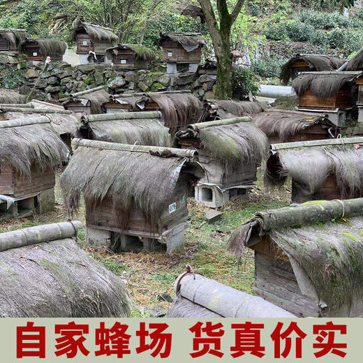 【消费帮扶】安徽泾县【谷岚山|百花蜜】500g/瓶 深山采集 原生态好蜂蜜 商品图6