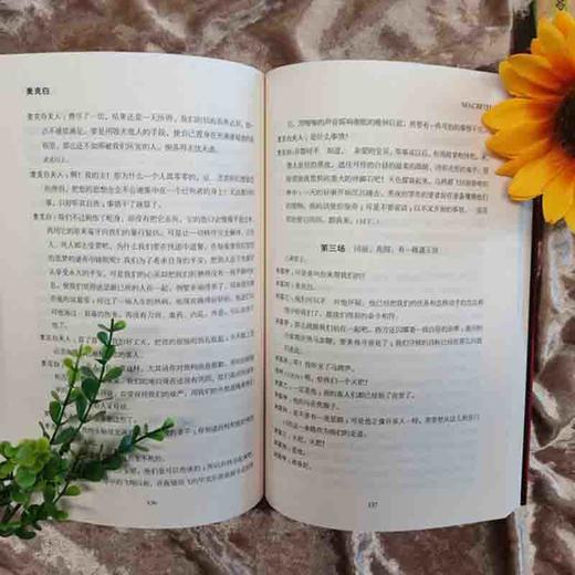 中小学生阅读文库 哈姆雷特 莎士比亚 著 中小学教辅 商品图1