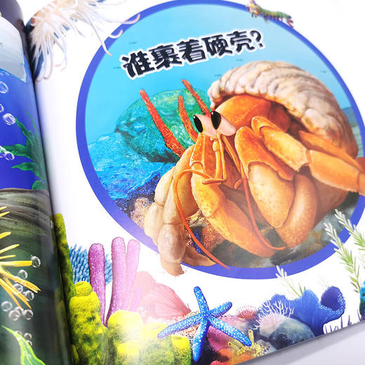 海洋图典 让孩子着迷的105种海洋动物 3-8岁 孙雪松 编 科普百科 商品图1