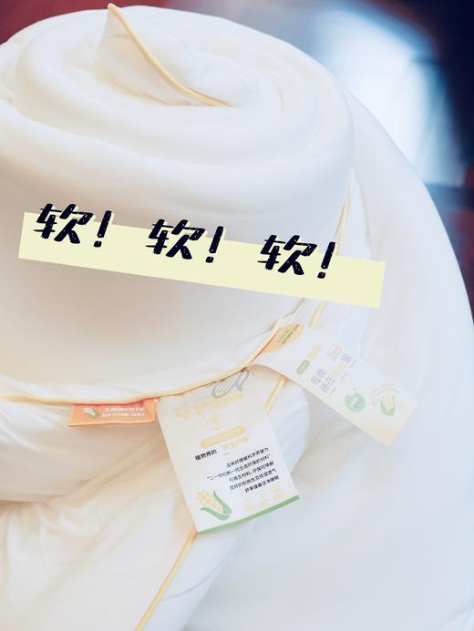 【限时折扣】新款生物基玉米软软被 商品图2