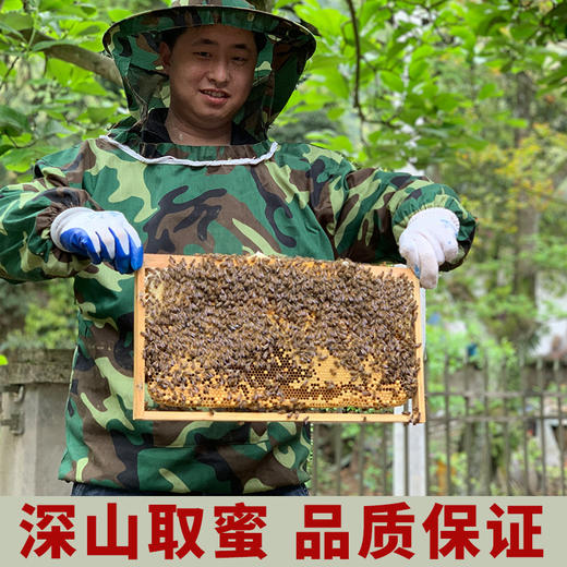 【消费帮扶】安徽泾县【谷岚山|百花蜜】500g/瓶 深山采集 原生态好蜂蜜 商品图5