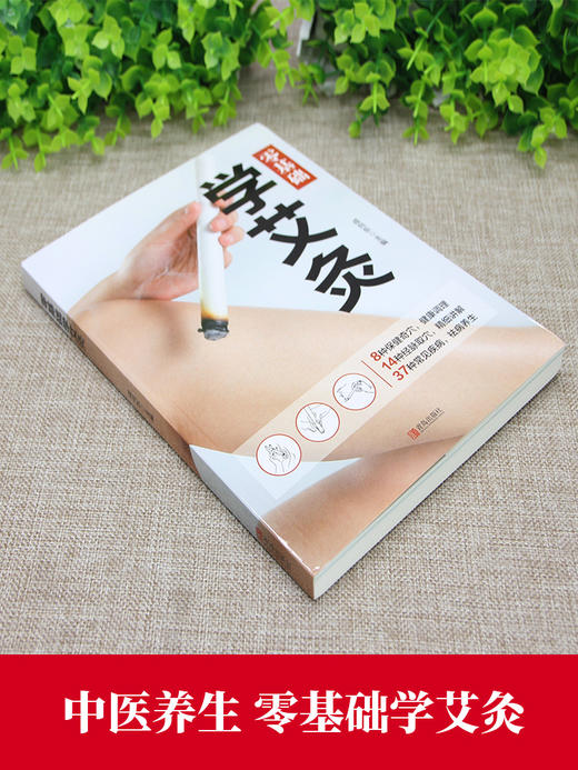 【9.9元包邮】零基础学会艾灸 艾灸医学书籍大全艾灸疗法教程艾灸养生家用艾灸穴位书籍 零基础学艾灸入门 图解艾灸穴位大全中医中药养生书籍 商品图1