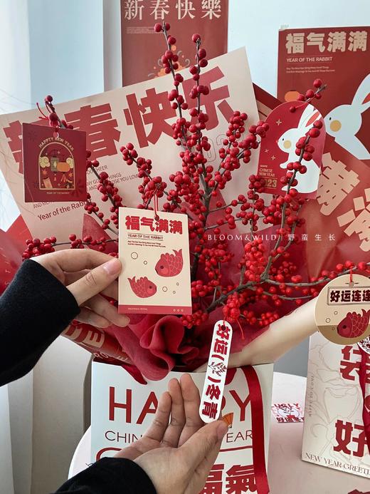 新年手提袋（3个/包）32*32*32 商品图4