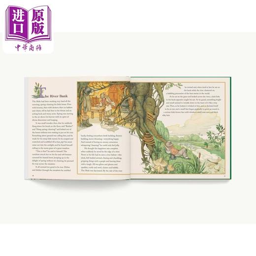 【中商原版】Don Daily Wind In The Willows 柳林风声 插画版 英文原版 精品绘本 童话寓言 Kenneth Grahame 3-6岁 商品图3